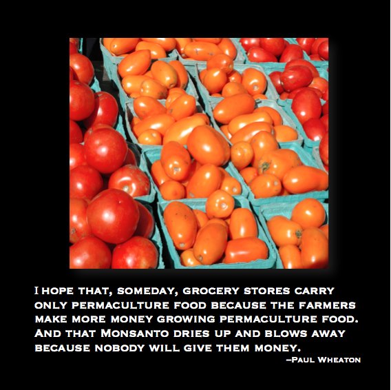 I hope that, someday, grocery stores carry only permaculture food because the farmers make more money growing permaculture food and monsanto dries up and blows away because nobdy will pay them money