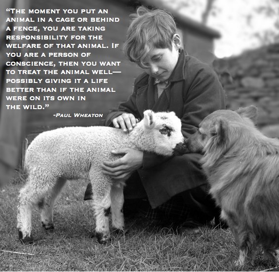 the monent you put an animal in a cage or behind a fence, you are taking responsibility for the welfare of that animal. if you are a person of conscience, then you want to treat the animal well. Possibly better that if it were living in the wild.