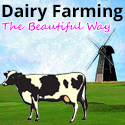 dairy farming