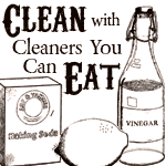 Clean with Cleaners You Can Eat - Free ebook