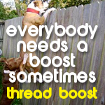 Thread boost dog fence