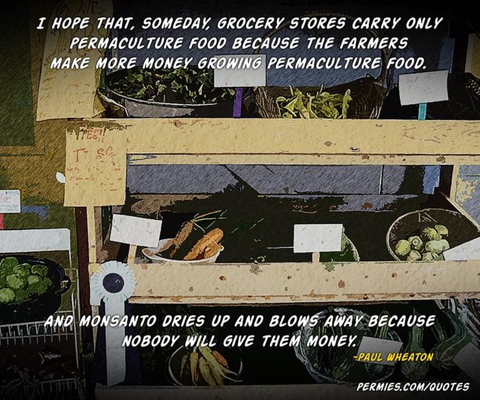 I hope that, someday, grocery stores carry only permaculture food because the farmers make more money growing permaculture food and monsanto dries up and blows away because nobdy will give them money