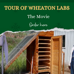 Paul Wheaton Tour of Wheaton Labs movie