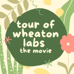 Paul Wheaton Tour of Wheaton Labs movie